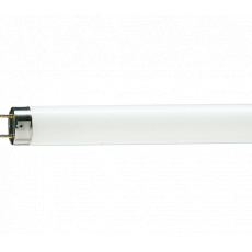 Лампа люминесцентная Philips 18 TLD-18W/33-640 G13 в упаковке 25шт.