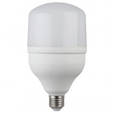 Лампа светодиодная Эра LED smd POWER 40W-6500-E27