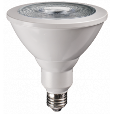 Лампа светодиодная Jazzway PPG PAR38 Agro 15W E27 IP54 для растений