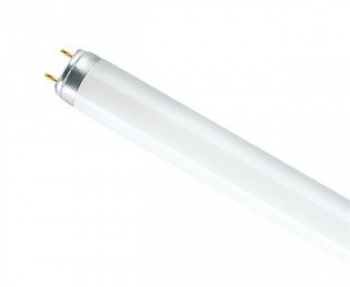 Лампа люминесцентная Osram 18 L 18/765 G13  в упаковке 25шт.