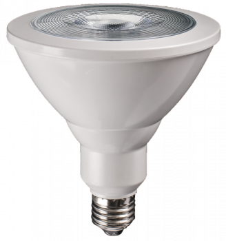 Лампа светодиодная Jazzway PPG PAR38 Agro 15W E27 IP54 для растений