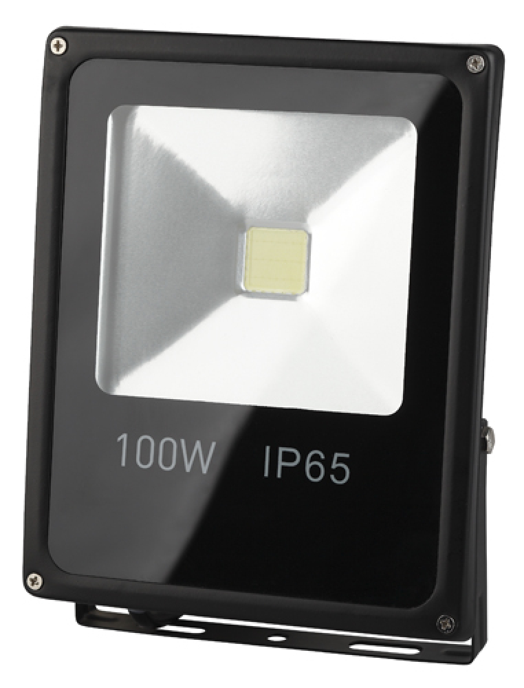 Прожектор светодиодный Эра LPR-100W-6500K-M
